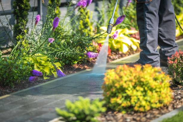 Best Soft Washing  in Mountainside, NJ